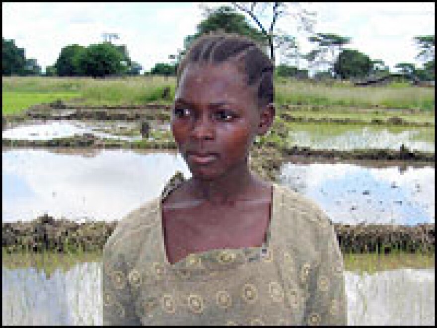 A rice farmer in Tanzania's Great Rift Valley, in the country's southwest. 