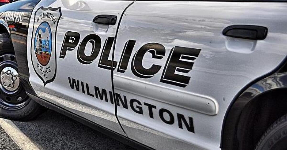 Wilmington City Council approves nominations for its Community Police Accountability Board