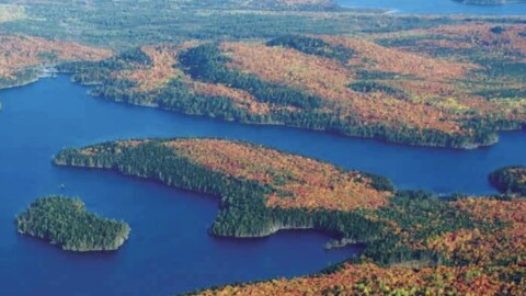 Aerial view of forested land and blue water inlets, part of Allagash Wilderness Waterway region