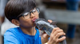 Young boy with his catfish catch at a fall fishing event at the park last year