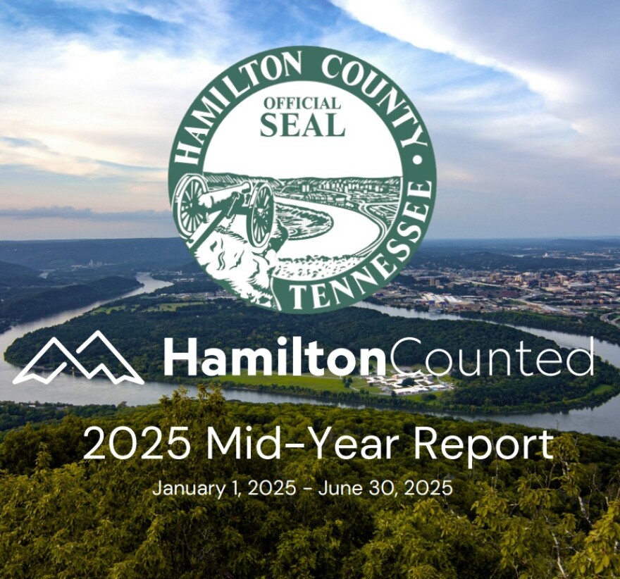 Cover of Hamilton Counted 2025 Mid-Year Report.