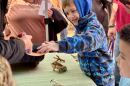 Abram Salyer, 7, of Concord, checks out Poppy, a red rat snake, at New Hampshire Fish and Game's Discover Wild Day.