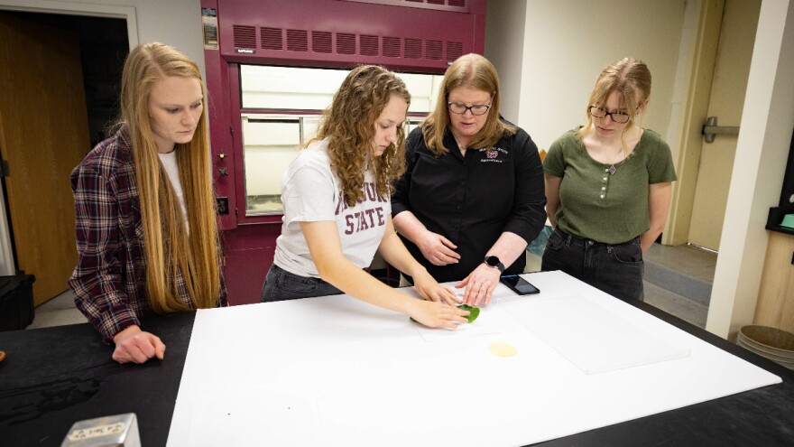  Dr. Melissa Bledsoe works alongside ag students at Missouri State University.