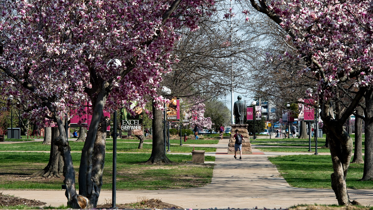 SIU earns arboretum accreditation renewal - Vimarsana News