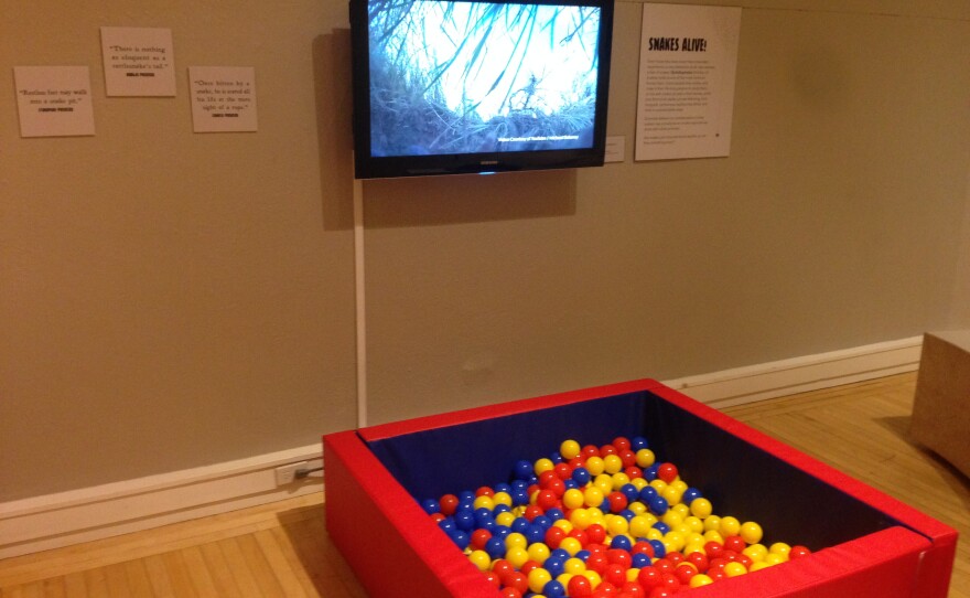 A ballpit with rubber snakes is set up underneath a television screen showing a video of real snakes.