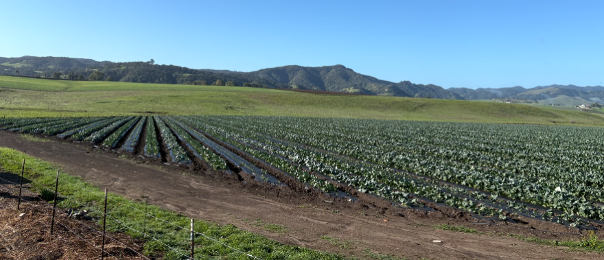 The Brughelli Ranch south of San Luis Obispo County Regional Aiport includes cropland, space for livestock, and a seven-acre reservoir.