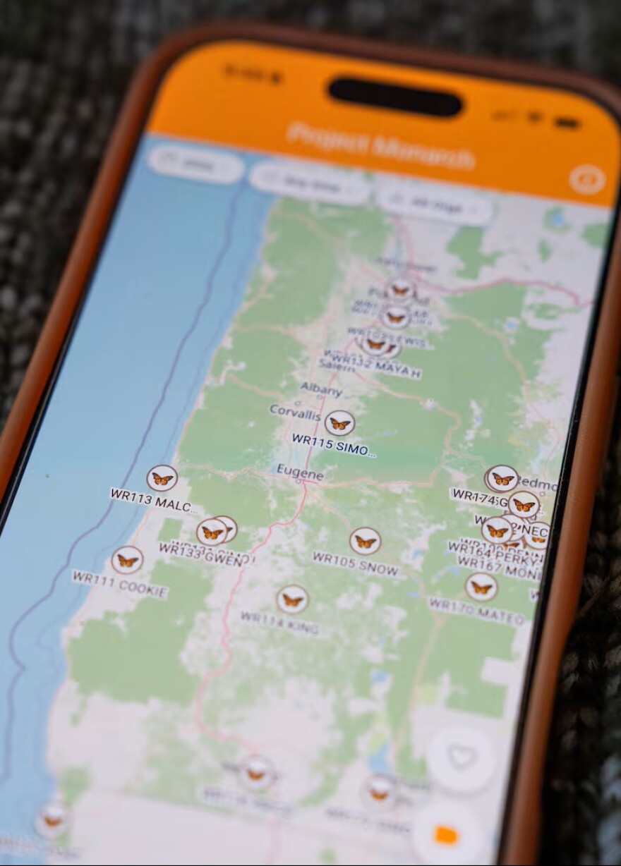 The Project Monarch app shows the location of some of the butterflies on Sept. 17, 2026.