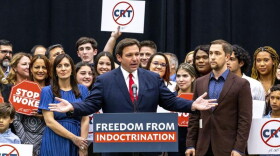 Gov. Ron DeSantis speaks in April 2022 before signing the Individual Freedom bill, which he called the "Stop WOKE Act."