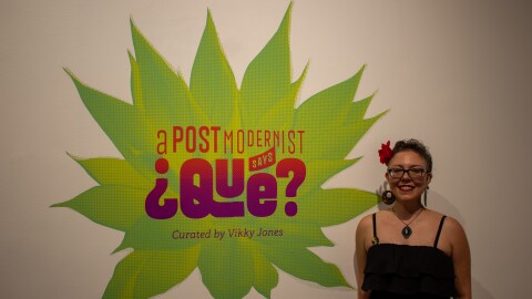 Vikky Jones curated the latest exhibition at the Centro de Artes Gallery.