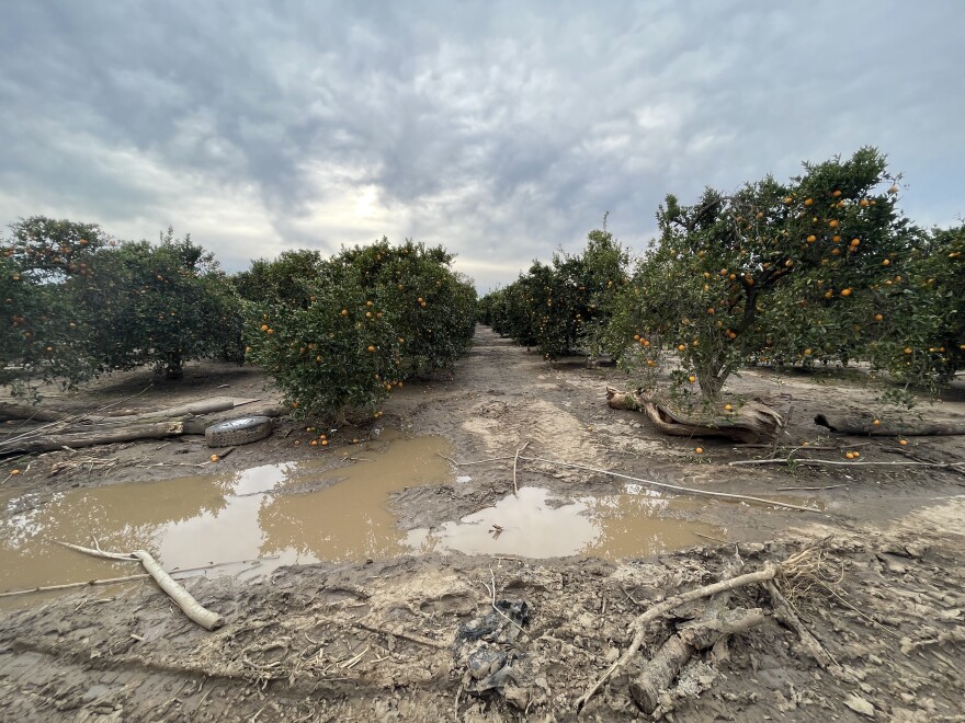 Three breaches in the nearby Lewis Creek caused water to gush into the eastern Tulare County city of Lindsay.