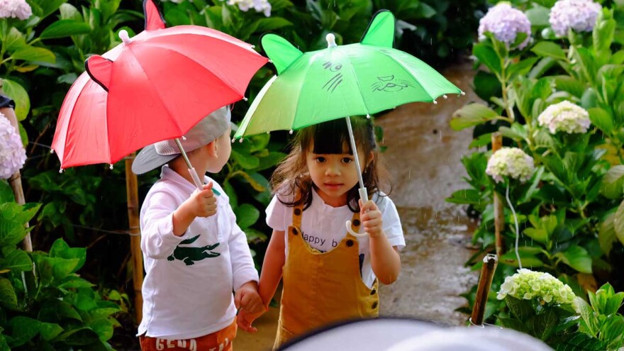 Photo by Apaha Spi on Unsplash.con