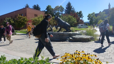 Montana State University