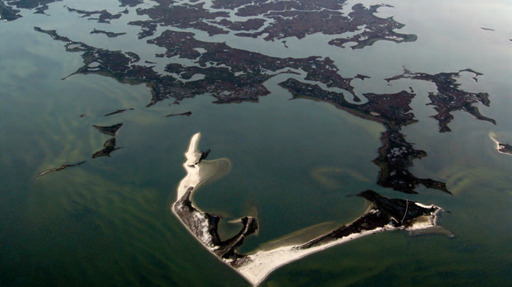 Rate Of Coastal Wetlands Loss Has Sped Up, U.S. Study Says WGCU PBS