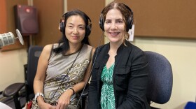  Elizabeth Suh Lane and Aimee Marcereau DeGalan