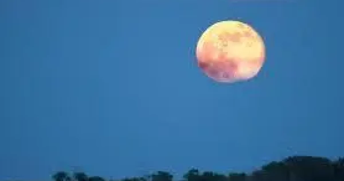 Full Moon Cruise Aboard Wilmington Water Tours