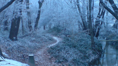 Photo of wintry weather in the Midlands.