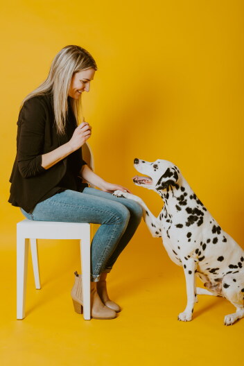 Sabrina Sherwood offers a dog a treat.