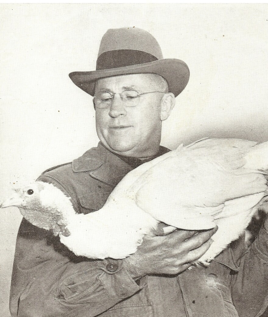 Stanley Marsden, a U.S. Department of Agriculture scientist, with the Beltsville Small White turkey, a breed he developed beginning in 1929. The breed now is critically endangered but making a small comeback.