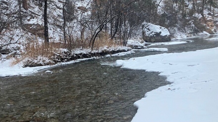 A partly iced shallow-flowing stretch of Rapid Creek upstream from Cleghorn Springs Fish hatchery