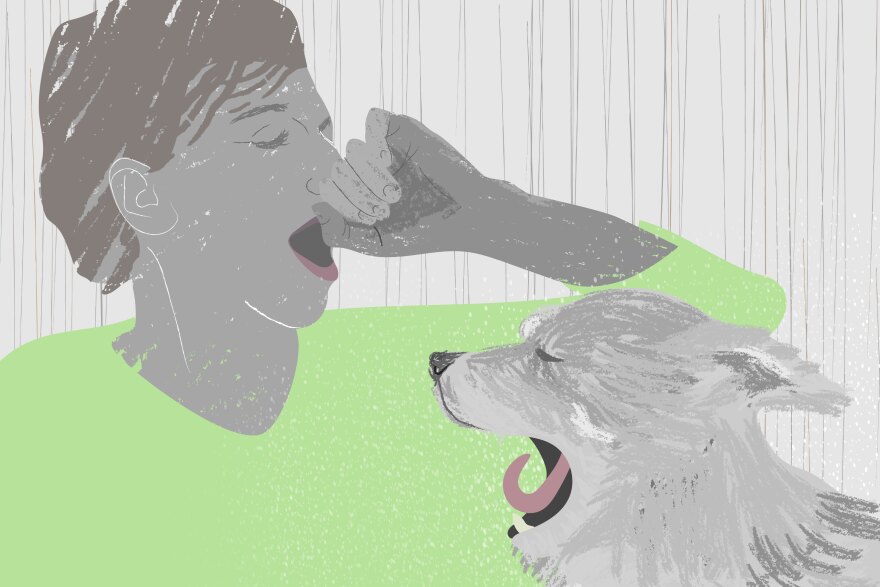 A 2008 study suggested that dogs yawn in response to their owners.