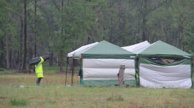 A responder at Tuesday's plane crash off Highway 320 in Micanopy that killed pilot Riley Stevens. Authorities believe weather could be the main factor, but they're still investigating. (Nate Phillips/WUFT News)