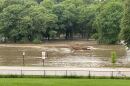 Currie Park Golf Course flooded