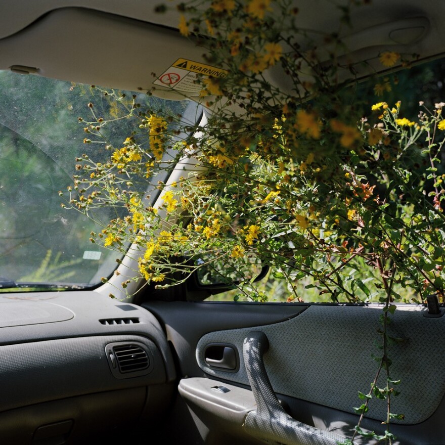 Photo titled, "Road Trip" by Georgia Rhodes (2014)