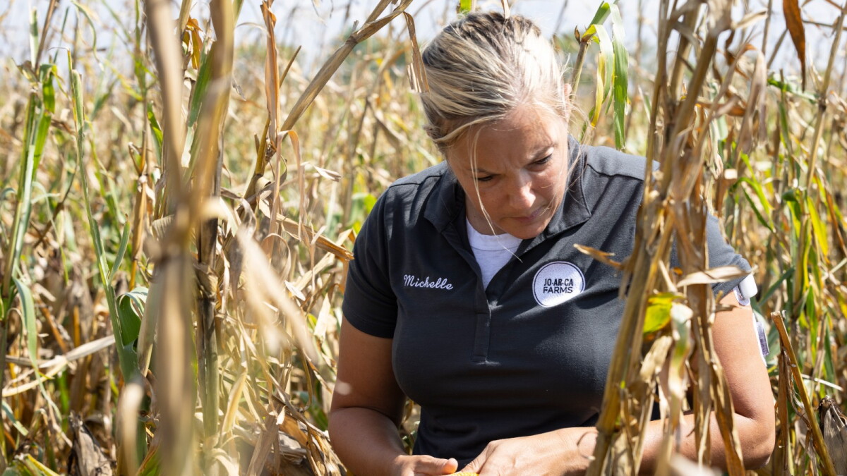 In Illinois, young, conservation-minded farmers race against climate change to save their soil - Vimarsana News