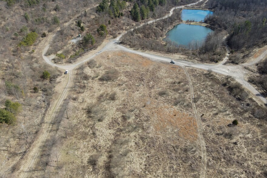 The reclaimed surface mine where the 20-MW Bull Run solar array will be built includes some large ponds. At-risk mountain chorus frogs have begun to breed in small, shallow puddles left behind when the mining company revegetated the mountainous site long after leveling the topography.
