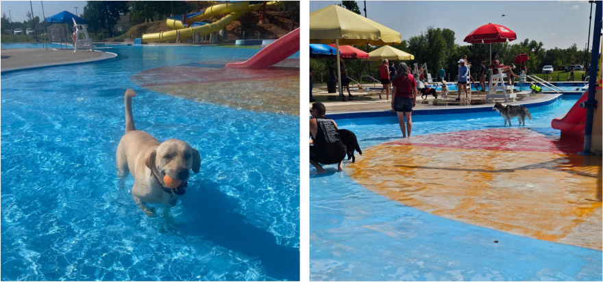 In her presentation to Edmond City Council, Wells showed two pictures taken 24 hours apart. The left photo was taken on Sep. 8; the water level along the back wall is visibly lower in the right photo, taken at Pelican Bay's post-season Dog Day on Sep. 9.