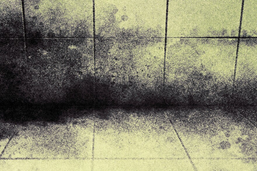 An illustration with muted green tones shows spots of black mold growing on a tiled floor and wall.