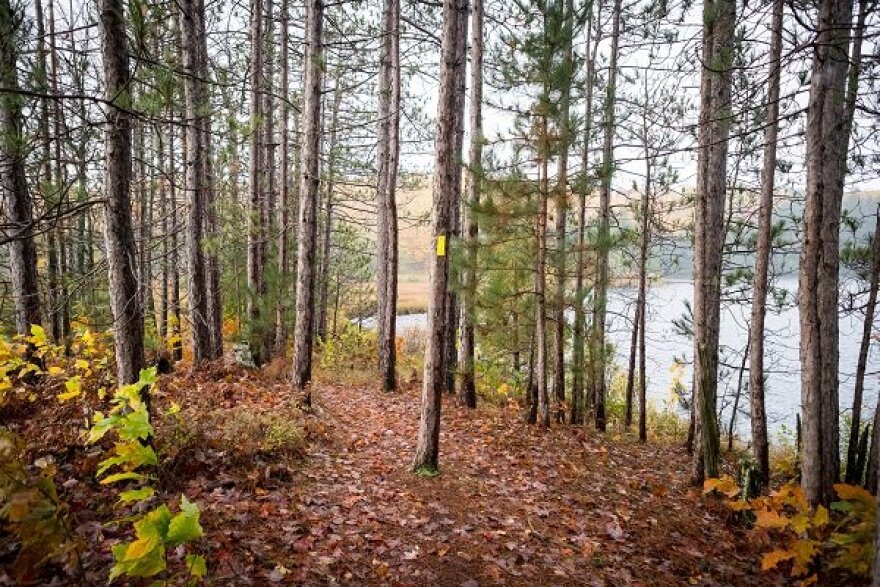 A glimpse of a kettle lake along the Summit Moraine Segment in Langlade County