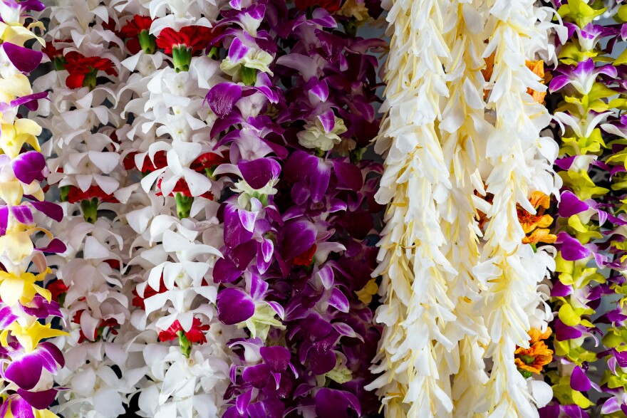In Hawaiʻi graduates are covered in stacks of lei to showcase their accomplishments. (AP Photo/Mengshin Lin)