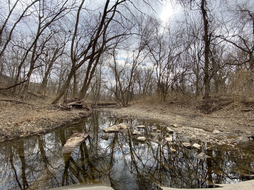 Negro Creek in Johnson County, flows for 6.5 miles before emptying into the Blue River