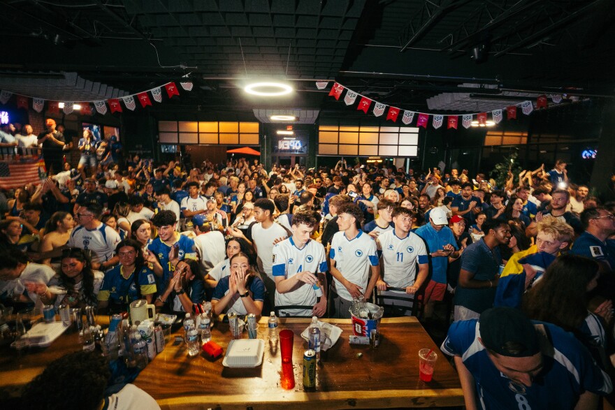 Hundreds of Bosnia soccer fans root on the Dragons during a watch party for the team's FIFA World Cup knockout match against the United States on Wednesday at Bevo Caffe Lounge.