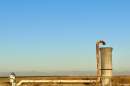 A well in Wasco, CA.