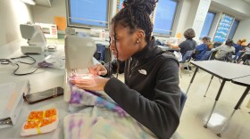 Pocono Mountain West freshman Lakia Joseph sews a dress that will be sent to Africa. Over the last 12 years, students from the school have sewn hundreds of dresses to send to Africa.