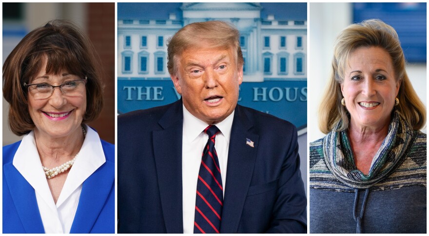 President Donald Trump's influence looms large in St. Louis County races, including the 2nd Congressional District between Democrat Jill Schupp (left) and incumbent Republican Ann Wagner.
