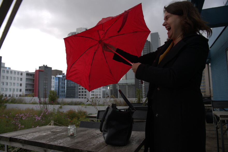 The wind blows the umbrella of Esther van Geloven, a Dutch government policy officer, at a rooftop garden in Rotterdam. 