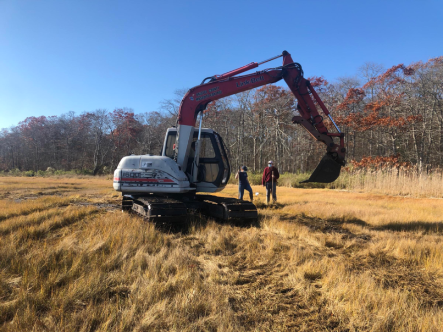 A technician with the Bristol County Mosquito Control Commission carefully operates an excavator on the marsh.
