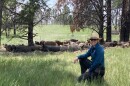  Adrienne Larrew and her pigs at Kiowa Creek Ranch outside Colorado Springs. The ranch is owned by the Audubon Society, which leases it to Corner Post Meats.