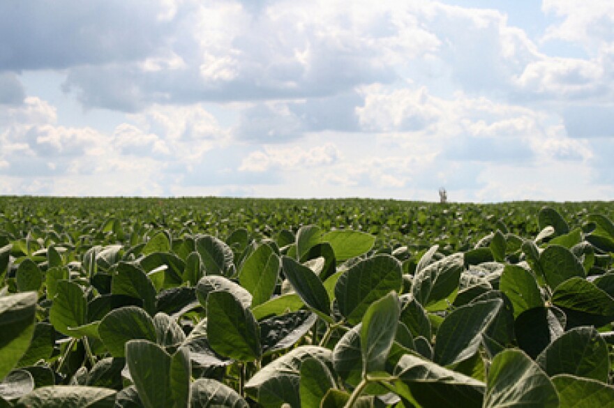 Friday is the deadline for U.S.-China trade talks. If they fail and China's 25-percent tariff on soybeans goes into effect, Missouri farmers will feel the impact.