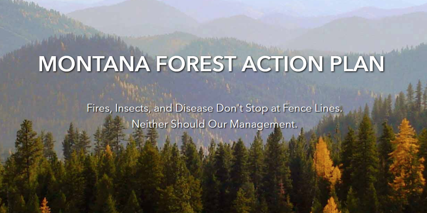 Screen capture from the Montana Forest Action Plan website, 11-18-20, https://www.montanaforestactionplan.org/ 