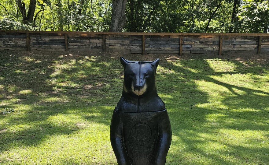 3D bear target at the Burns Park archery range