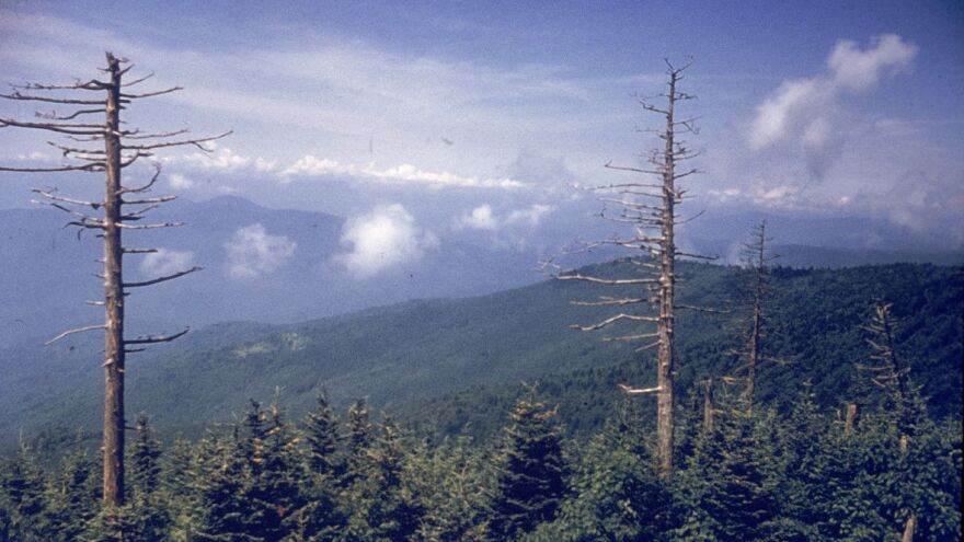 Hulton Archive/Getty Images