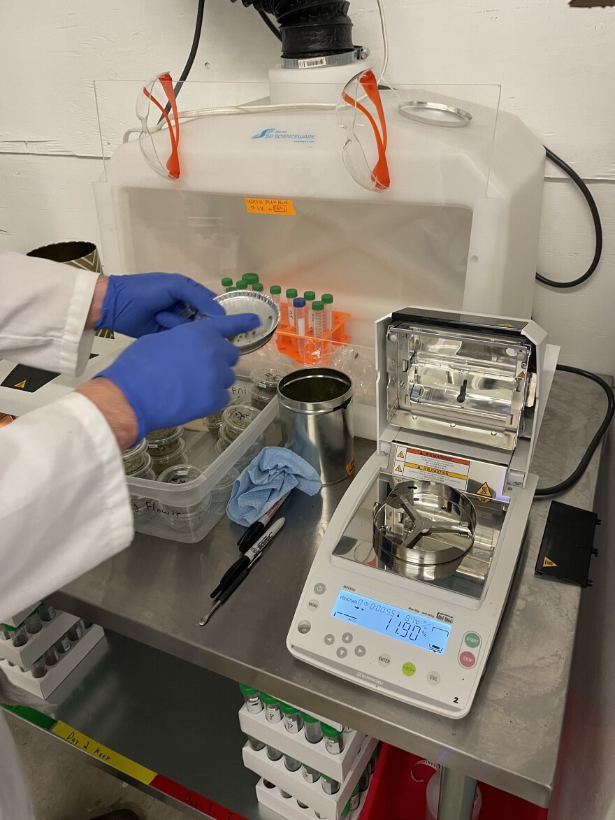 Marijuana is crushed up before it is put onto a metal tray and loaded into a machine to be tested for moisture content. The plant is heated and turns to ash before the machine releases test results.