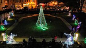 A lighted Christmas tree in a lawn with lighted decorations along the sidewalk.