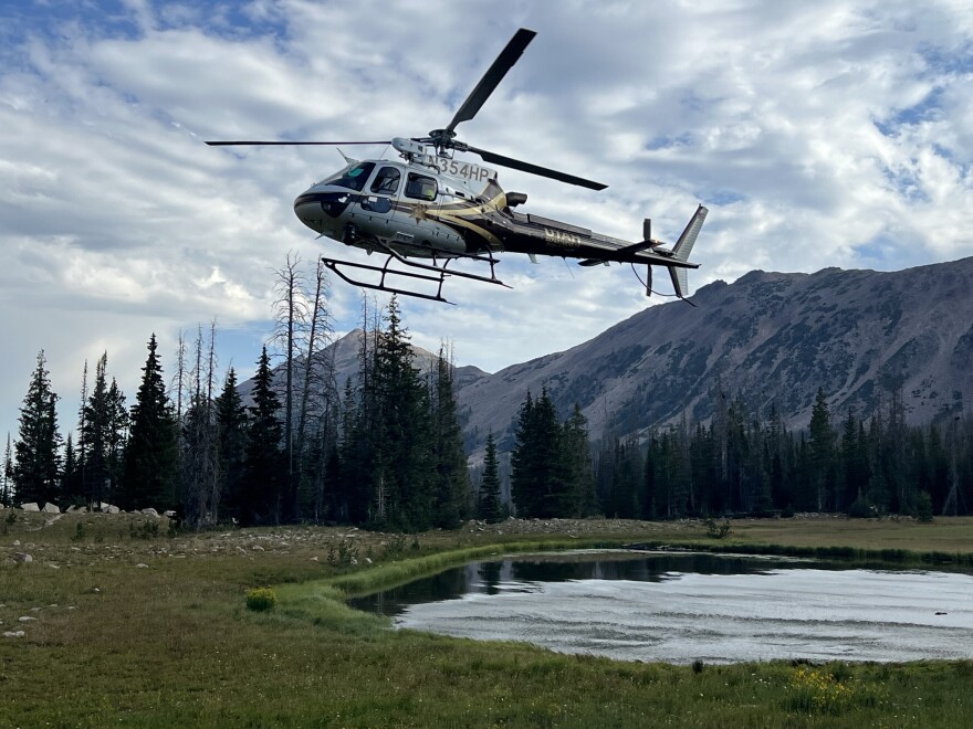 The Department of Public Safety helicopter landed in a clearing to fly the boy back to the trailhead.