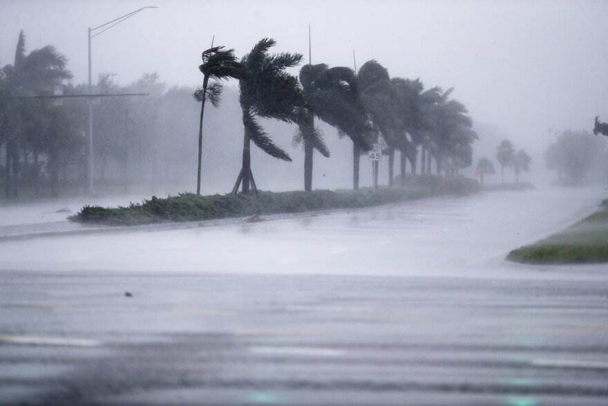 The winds from Hurricane Irma blow palm trees as it approaches Naples in 2017.