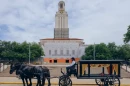 A horse-drawn hearse at the University of Texas at Austin Tower during the UT Funeral protest on May 20, 2026.
